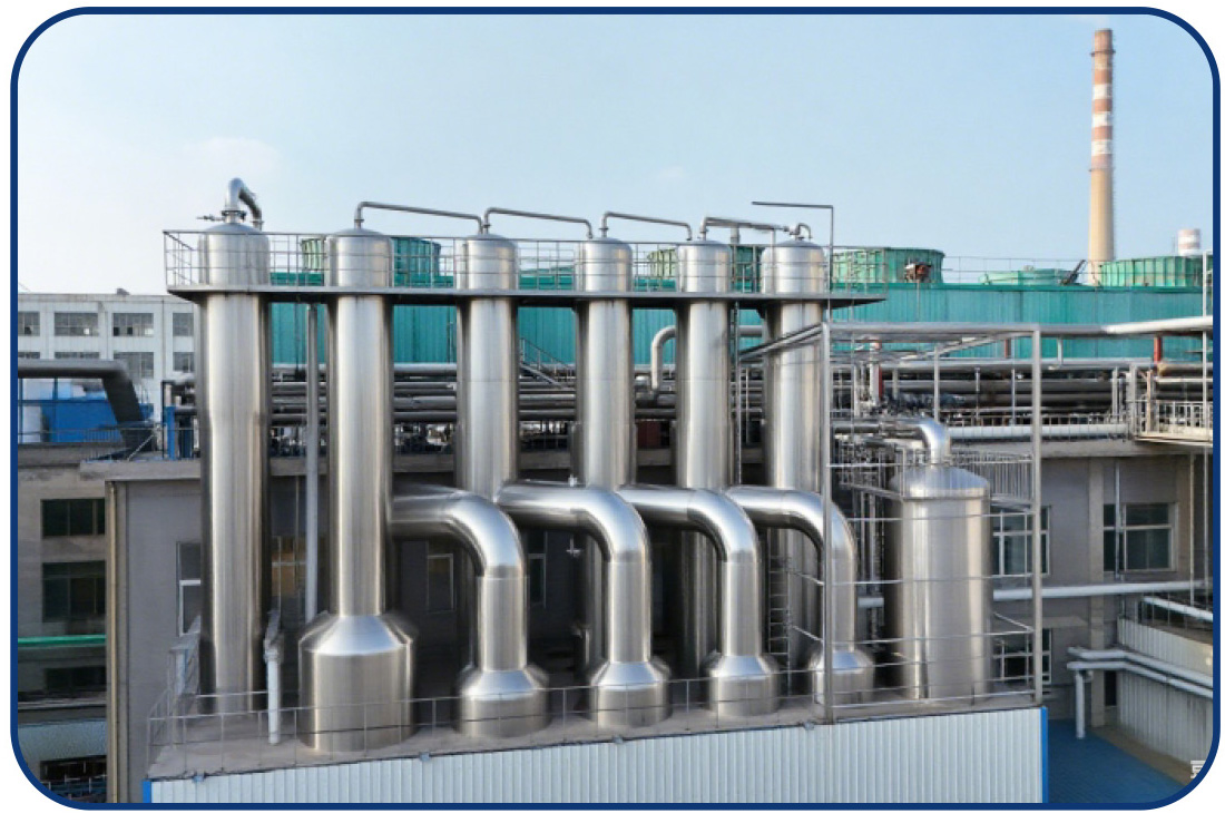 Dongxiao Biotechnology Co., Ltd.