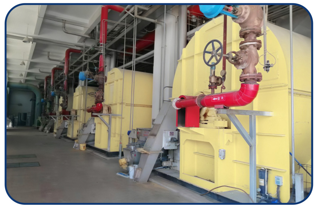 Shandong Dazecheng Biotechnology Co., Ltd.