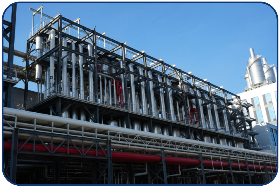 Dongxiao Biotechnology Co., Ltd.